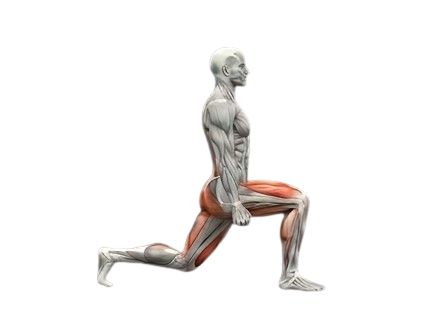 Lunges