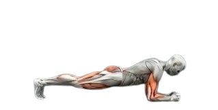 Planks