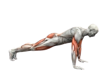 Push-Ups