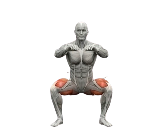 Squats